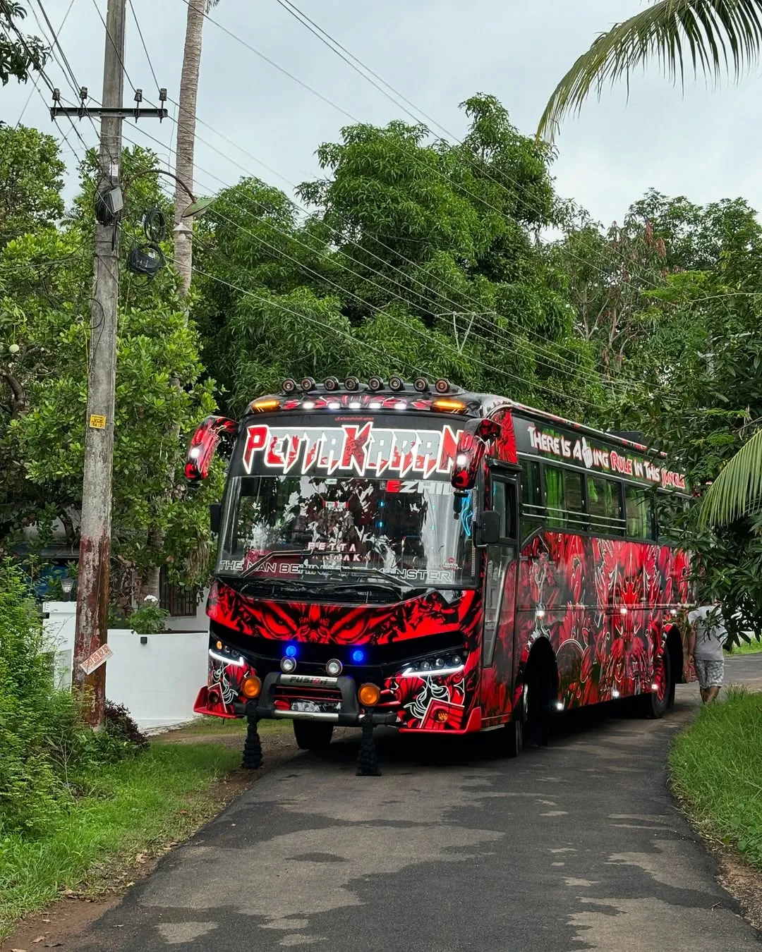 Skyscape Holidays luxury bus fleet